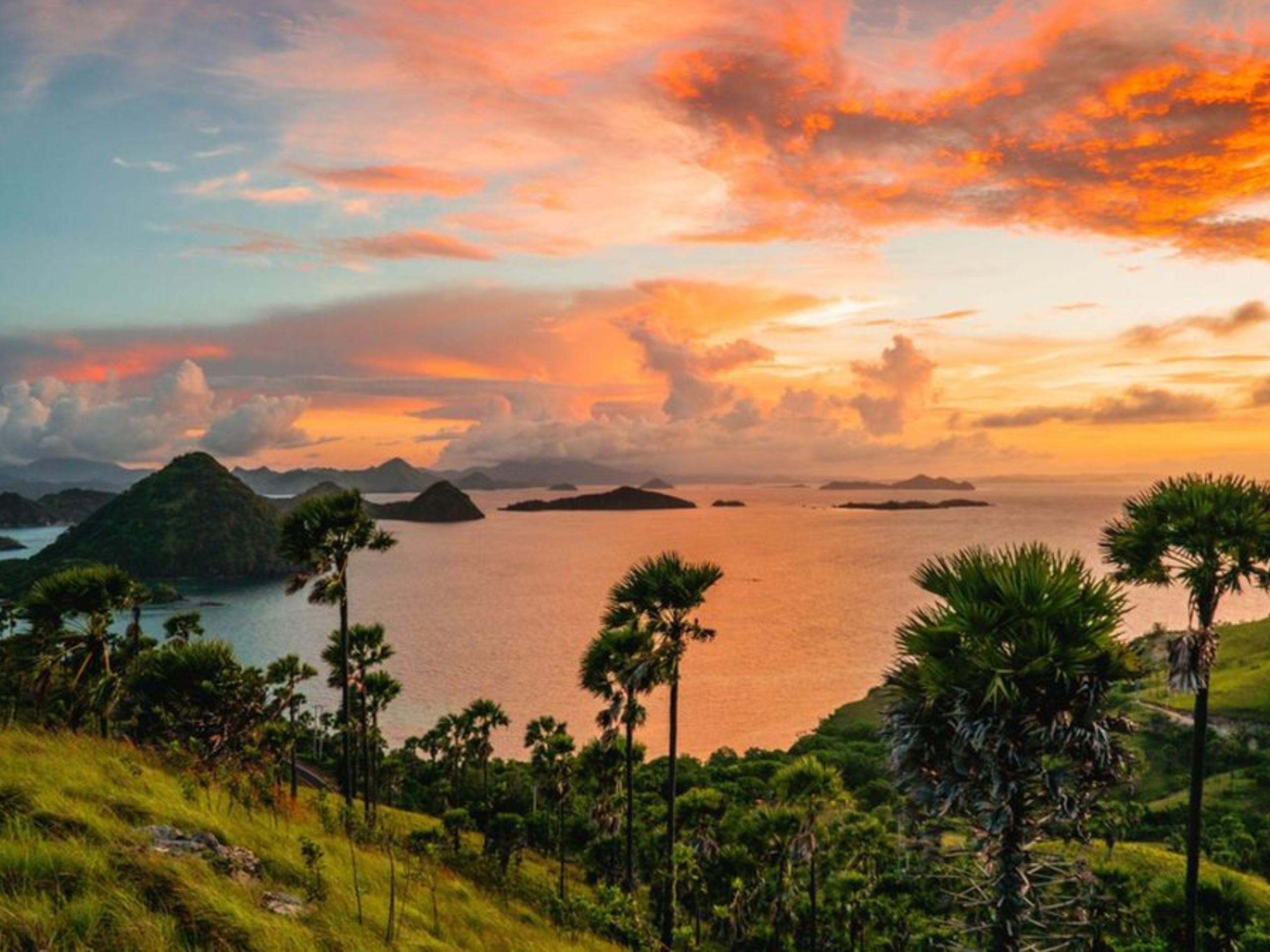 Labuan Bajo: Jelajahi Alam Indah dan Budaya Flores yang Memikat